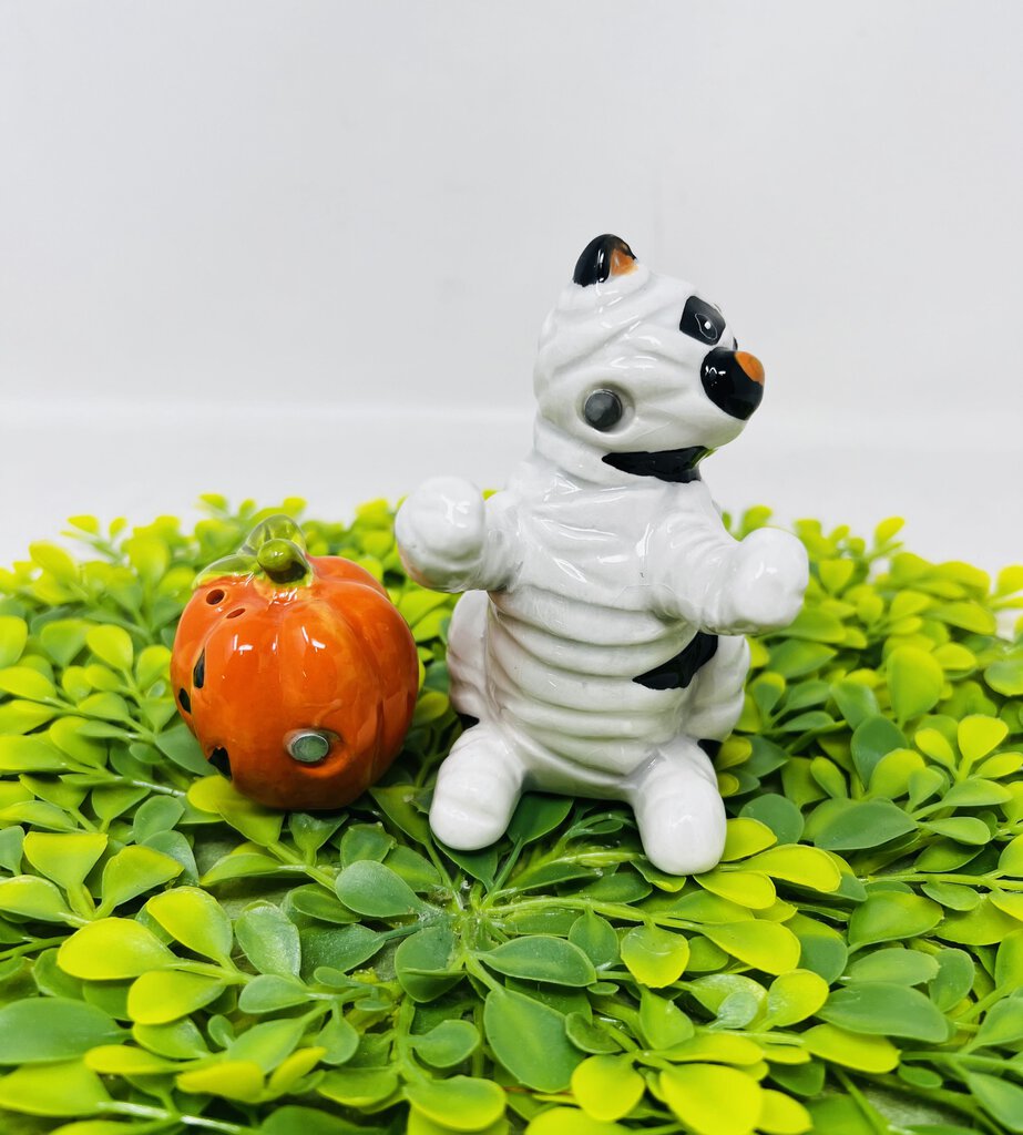 Mummy Cat With Pumpkin Shaker Set