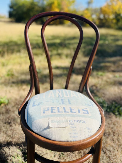 Bent Wood Parlor Chair