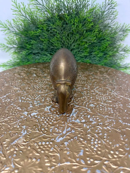 Brass Armadillo