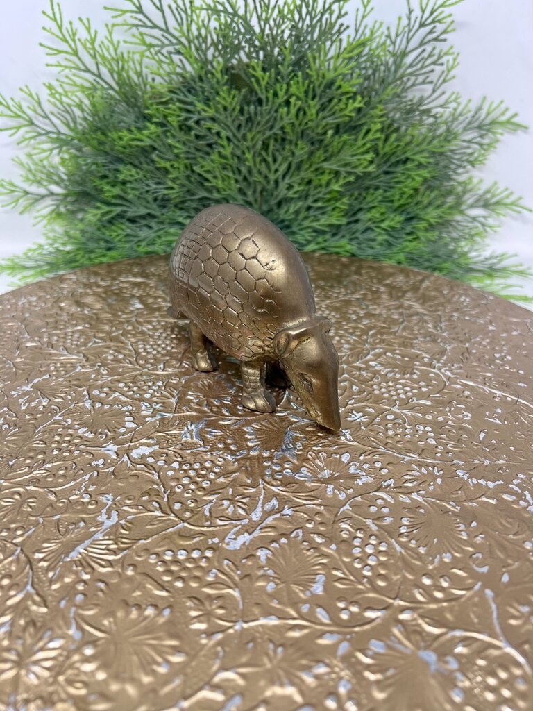 Brass Armadillo