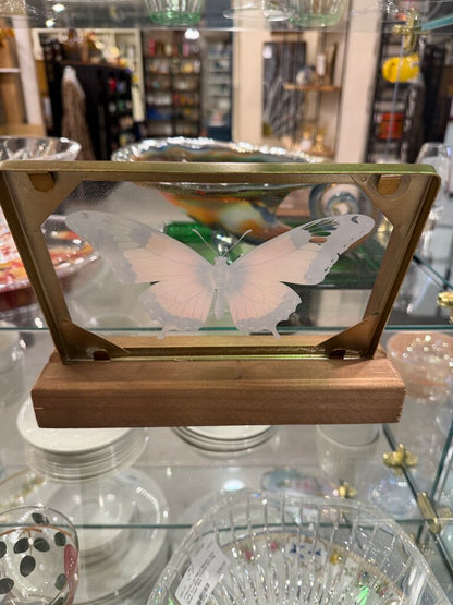 Butterfly in glass Picture and Stand